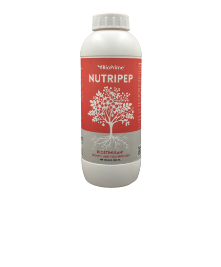 Nutripep