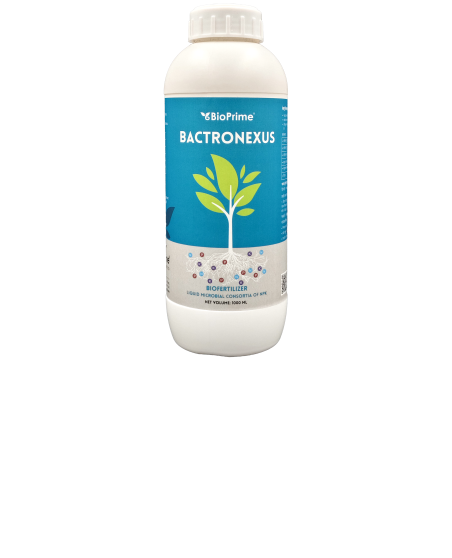 BactroNexus